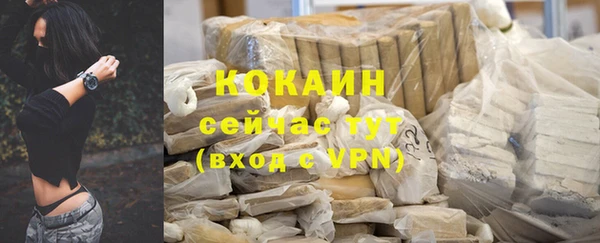 прущие грибы Переславль-Залесский