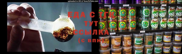прущие грибы Переславль-Залесский