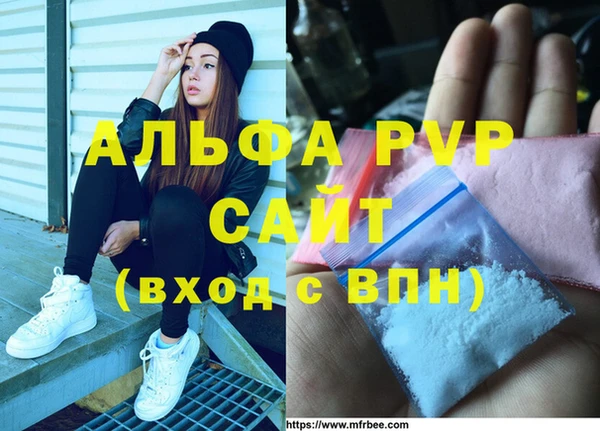 шишки Сосновка