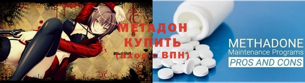 прущие грибы Переславль-Залесский
