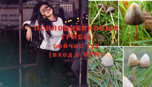 мет Осташков