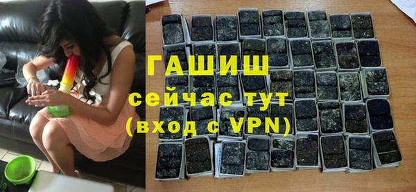 прущие грибы Переславль-Залесский