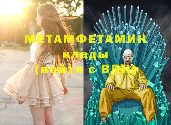 прущие грибы Переславль-Залесский
